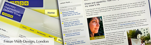 VODG - Disabilities umbrella group London Based Support Charity