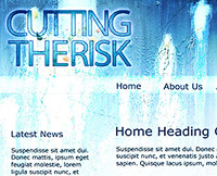 SHM web development project