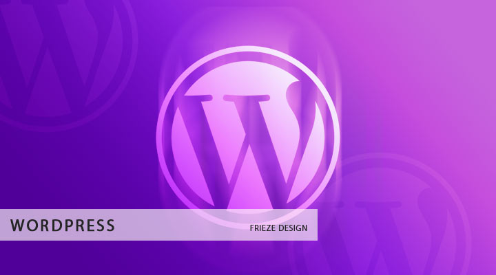 03. Why WordPress?